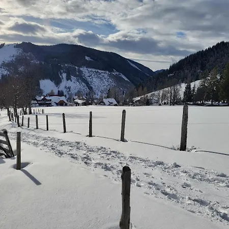 Διαμέρισμα Schuetterhof Ramsau am Dachstein